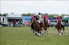 UKPA NC SAT_2873